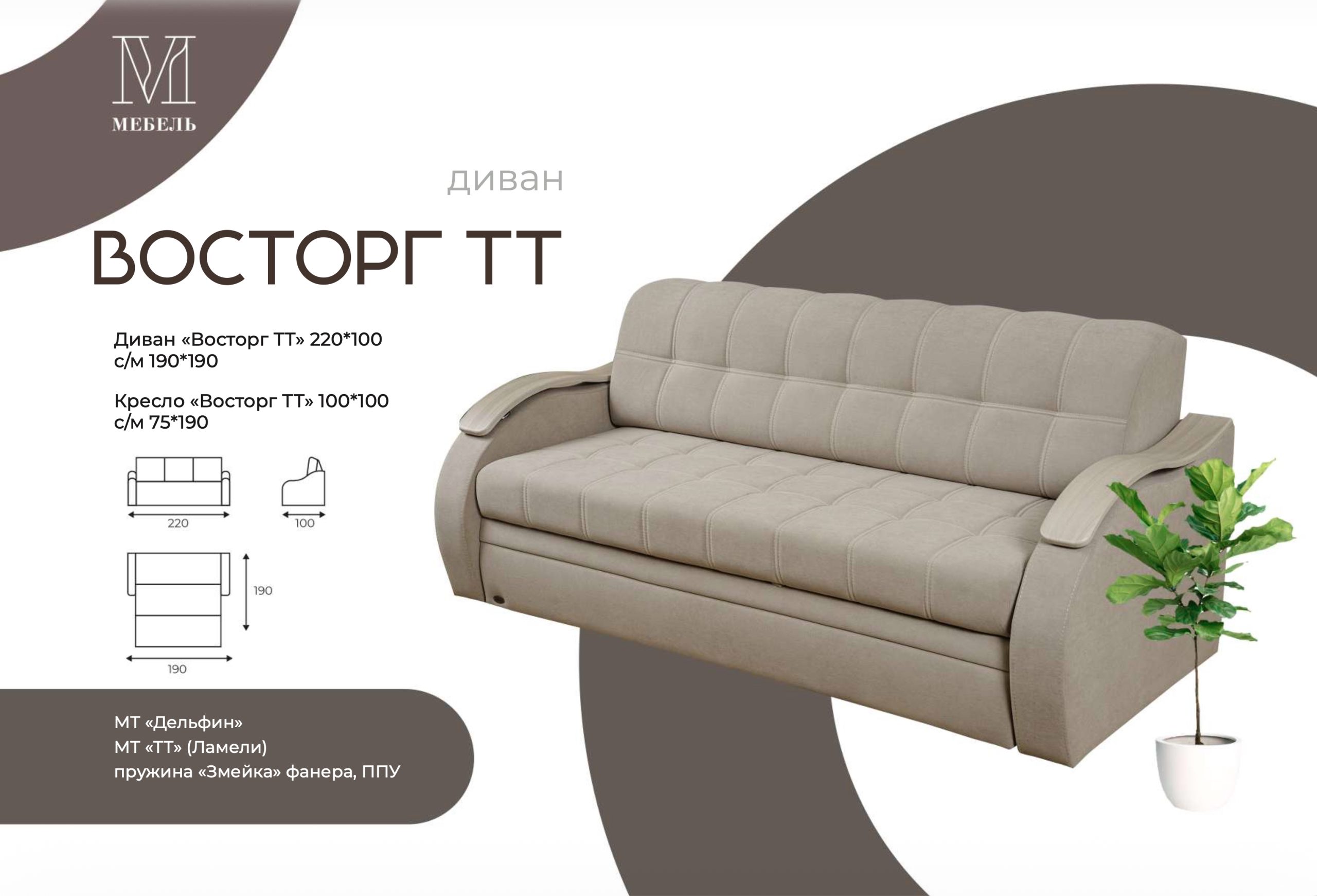 Диван-кровать Восторг ТТ