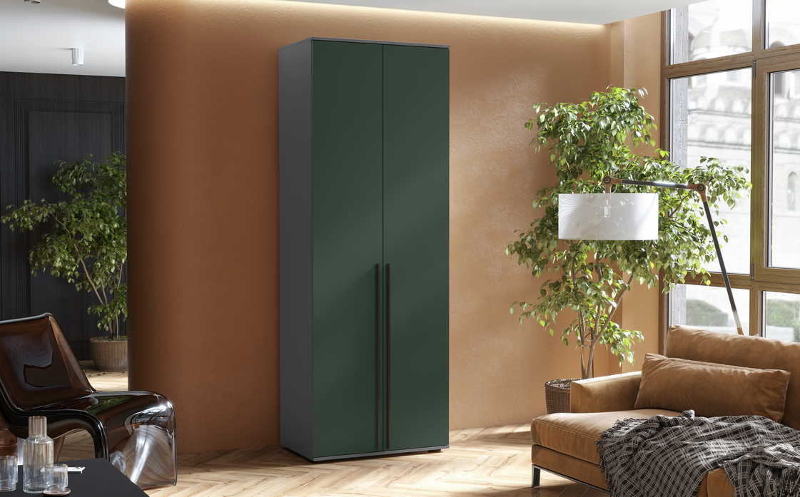 Шкаф 2-х ств. Норд (Изумруд/Графит)